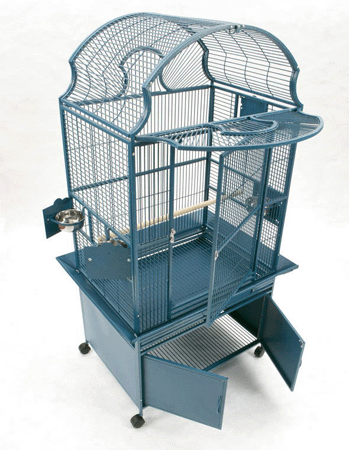 Koa Kave Fantop�